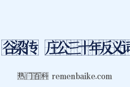 谷梁传·庄公三十年反义词是什么意思的图片